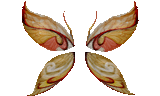 Wing of Life