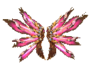 Fall Wings