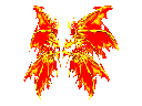 Wings of Red Dragon