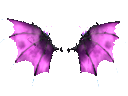 Wings of Silence